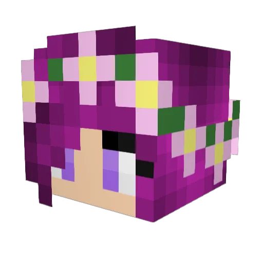 MysticWizD Minecraft avatar head, 3D render