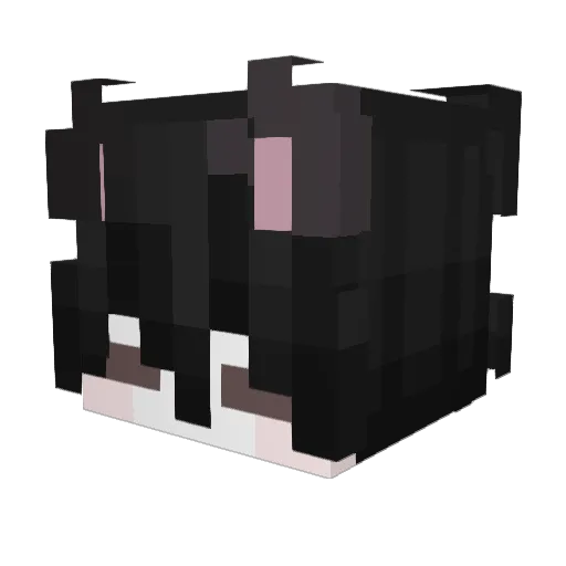 MysticalIDragon Minecraft avatar head, 3D render