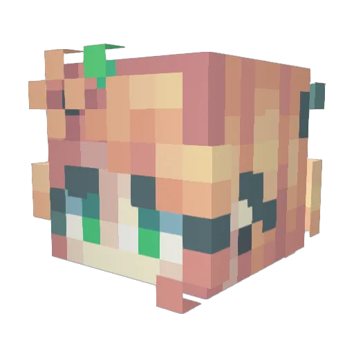 MysticalSkies Minecraft avatar head, 3D render