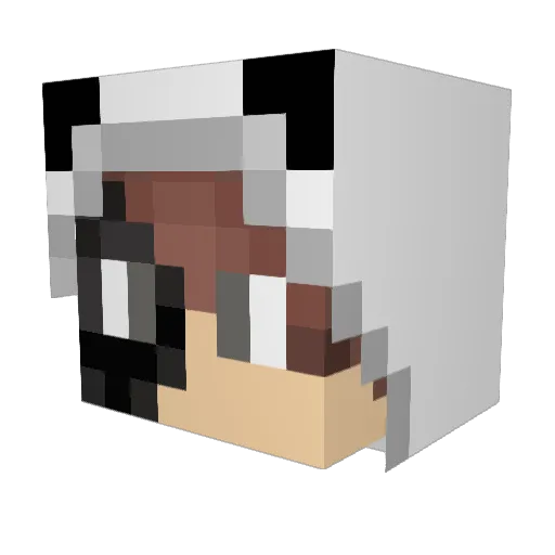 Mystickiller558 Minecraft avatar head, 3D render