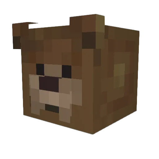 MystifiedBear Minecraft avatar head, 3D render