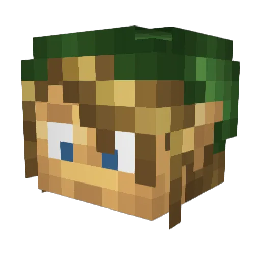 Mystogan342 Minecraft avatar head, 3D render