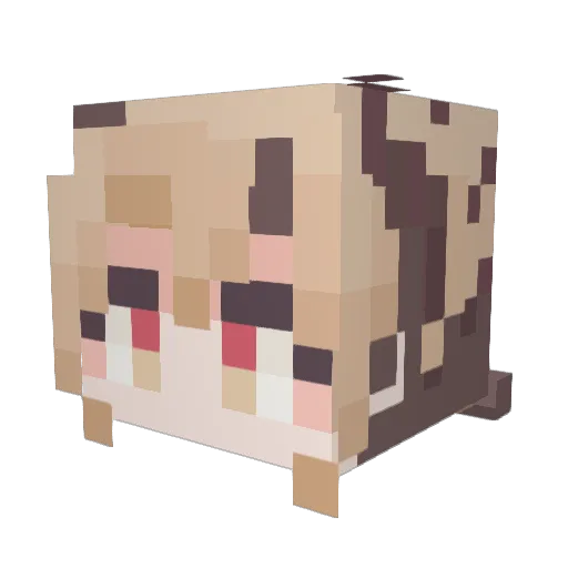 Mythdanor0225 Minecraft avatar head, 3D render