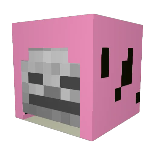 Mythyfungod123 Minecraft avatar head, 3D render