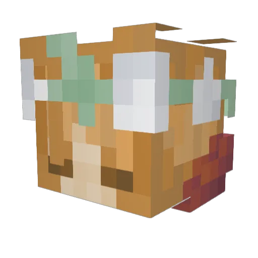 Myzhellle Minecraft avatar head, 3D render