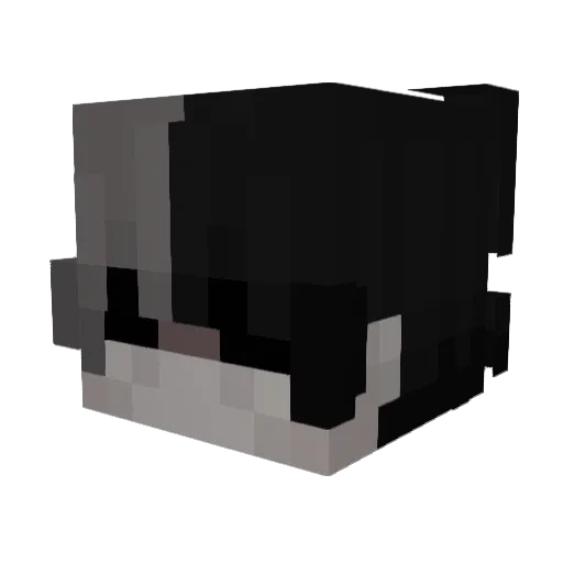 Mzsty__ Minecraft avatar head, 3D render