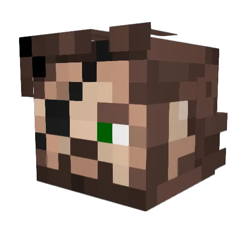 N00BN8R Minecraft avatar head, 3D render