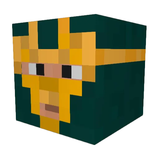 N00b1414 Minecraft avatar head, 3D render