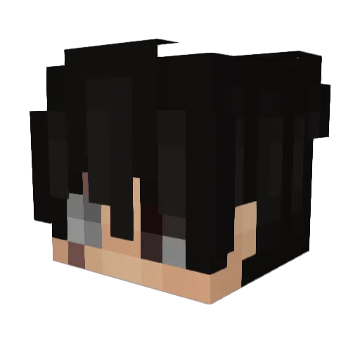 N00bPickel Minecraft avatar head, 3D render