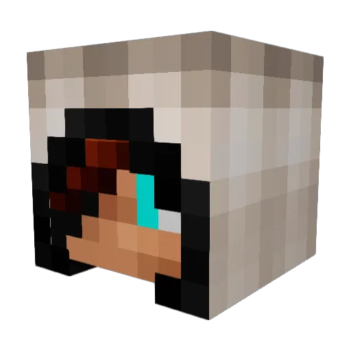 N00b_da_Jarrod Minecraft avatar head, 3D render