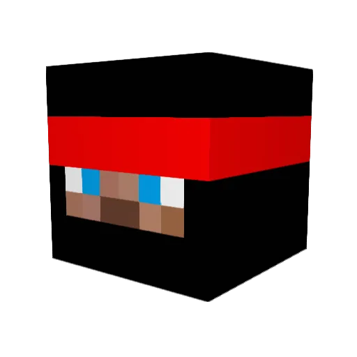 N00benNicho Minecraft avatar head, 3D render