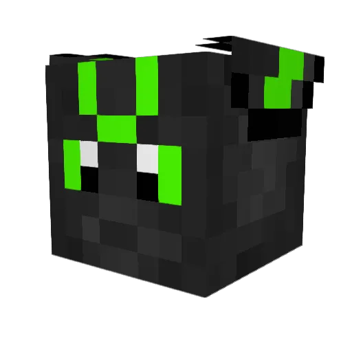 N0CAH Minecraft avatar head, 3D render