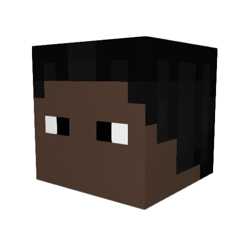 N0CT__ Minecraft avatar head, 3D render