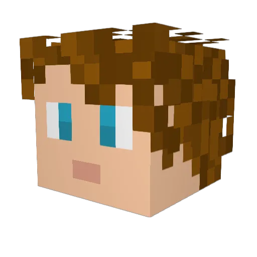 N0HER0 Minecraft avatar head, 3D render