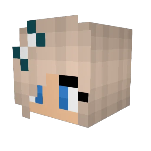 N0HacksJustPro Minecraft avatar head, 3D render