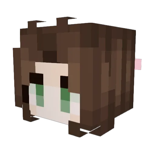 N0M4D1 Minecraft avatar head, 3D render
