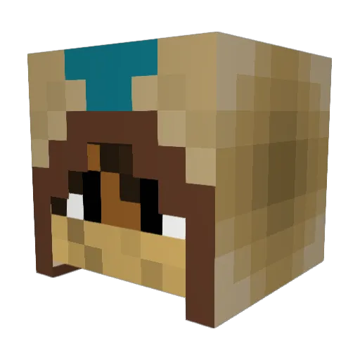 N0MAD_7567 Minecraft avatar head, 3D render