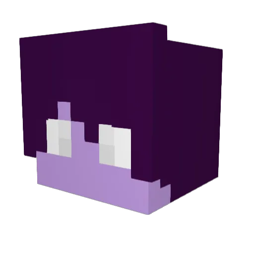 N0Name07 Minecraft avatar head, 3D render