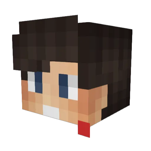 N0PiNgJuStHAkS Minecraft avatar head, 3D render