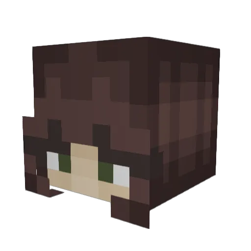 N0RAQUEE Minecraft avatar head, 3D render