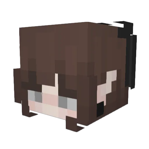 N0RM1T4 Minecraft avatar head, 3D render