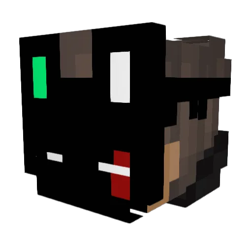 N0Rank Minecraft avatar head, 3D render