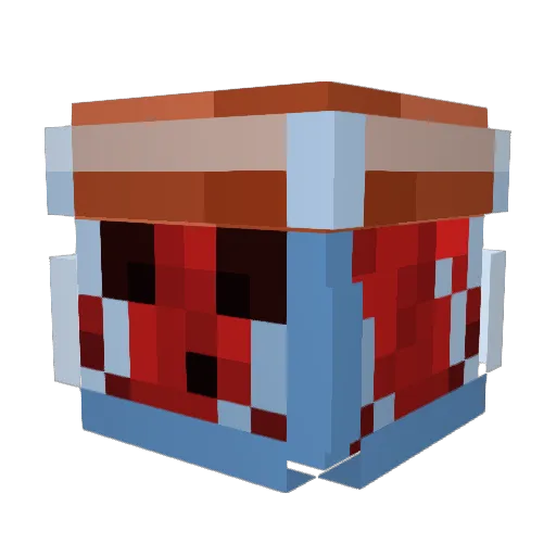 N0TF0UNDz Minecraft avatar head, 3D render