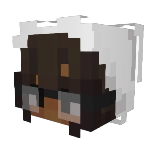 N0TJosh Minecraft avatar head, 3D render