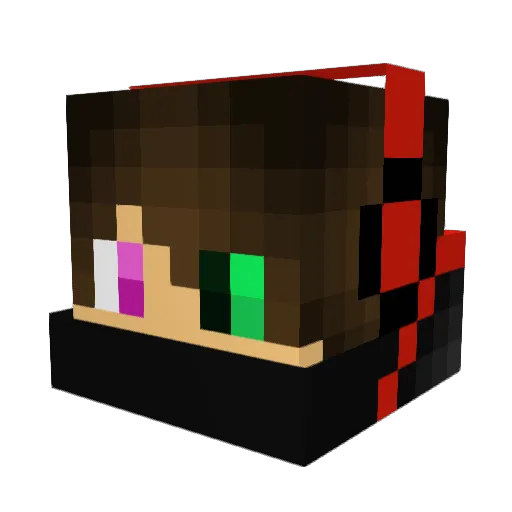 N0T_A_Nerd Minecraft avatar head, 3D render