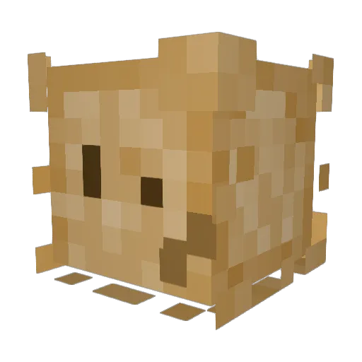N0T_CC Minecraft avatar head, 3D render