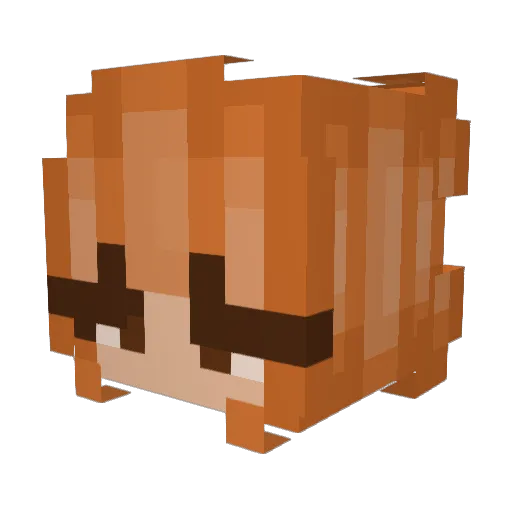 N0T_Coco Minecraft avatar head, 3D render