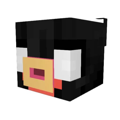 N0T_M4RT1N Minecraft avatar head, 3D render