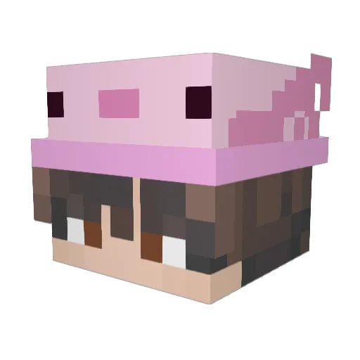 N0Tommy Minecraft avatar head, 3D render