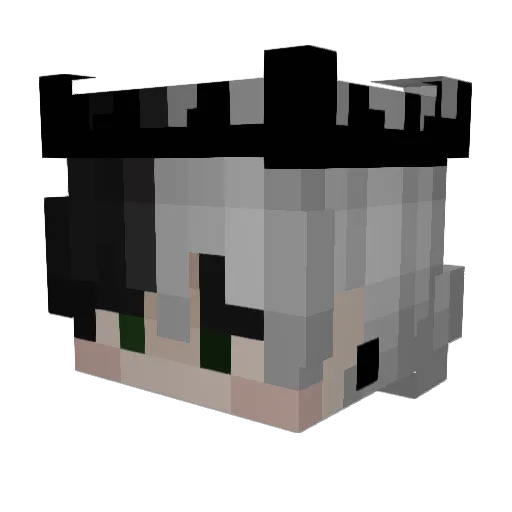 N0VA321 Minecraft avatar head, 3D render