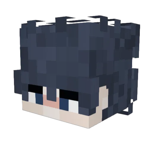 N0XA_ Minecraft avatar head, 3D render