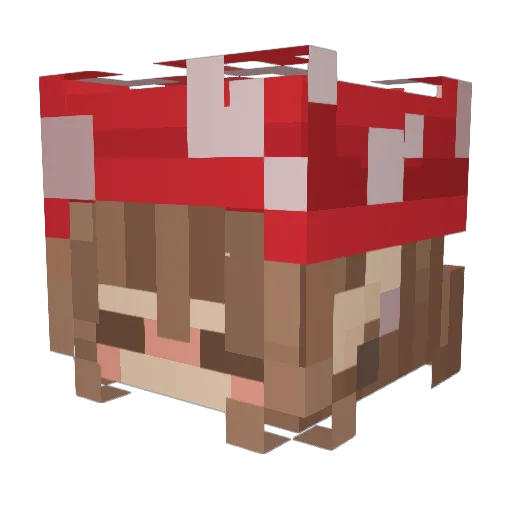 N0XTZ Minecraft avatar head, 3D render