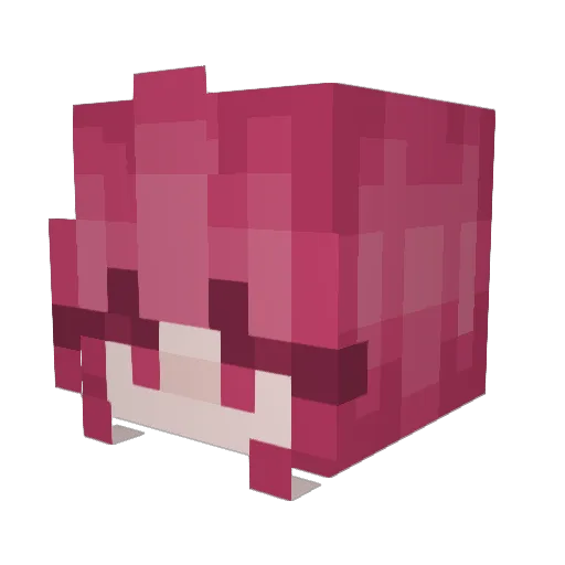 N0_Glory Minecraft avatar head, 3D render