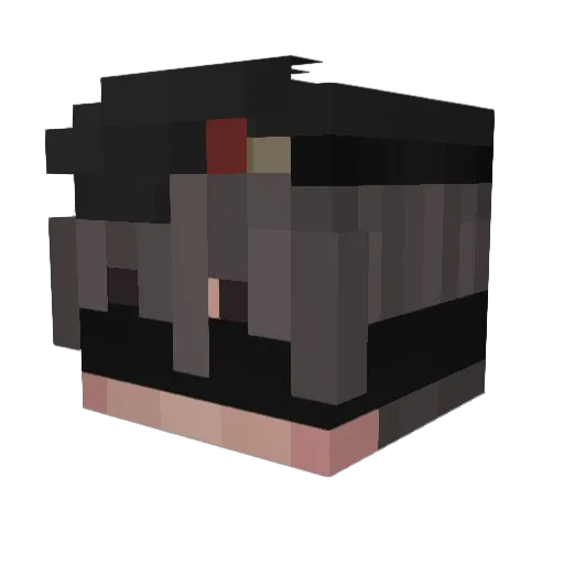 N0_N0thing Minecraft avatar head, 3D render