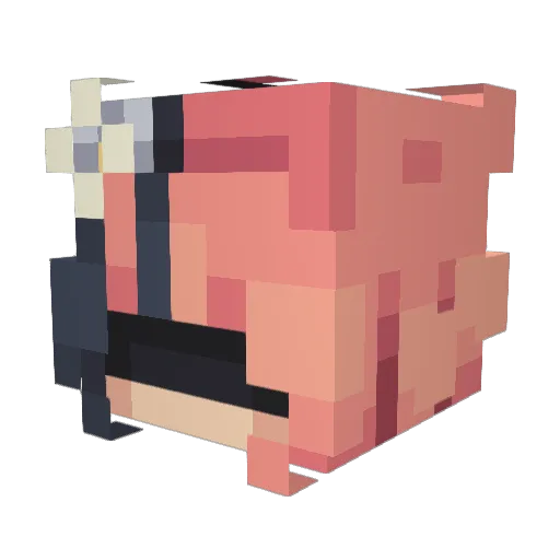 N0_One_Important Minecraft avatar head, 3D render