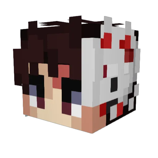 N0adjo Minecraft avatar head, 3D render