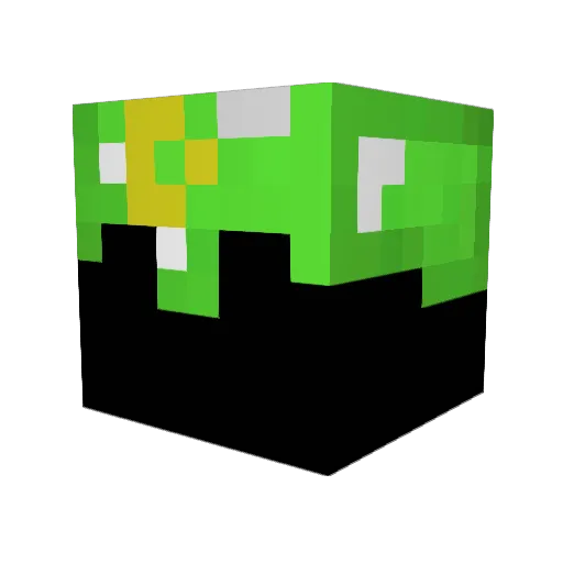 N0ah199 Minecraft avatar head, 3D render