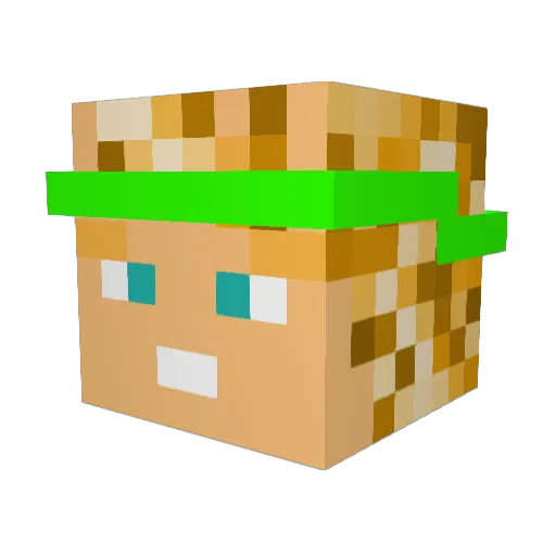 N0ah_FN Minecraft avatar head, 3D render