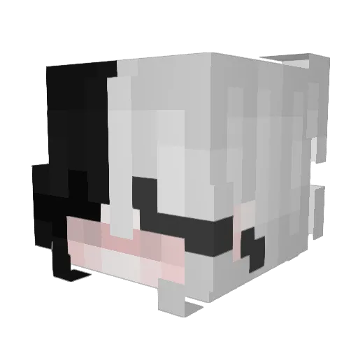 N0bro331 Minecraft avatar head, 3D render