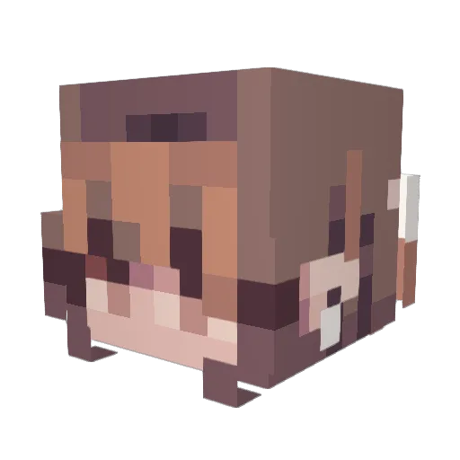 N0cturn0w1 Minecraft avatar head, 3D render