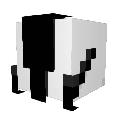 N0ll0w0 Minecraft avatar head, 3D render