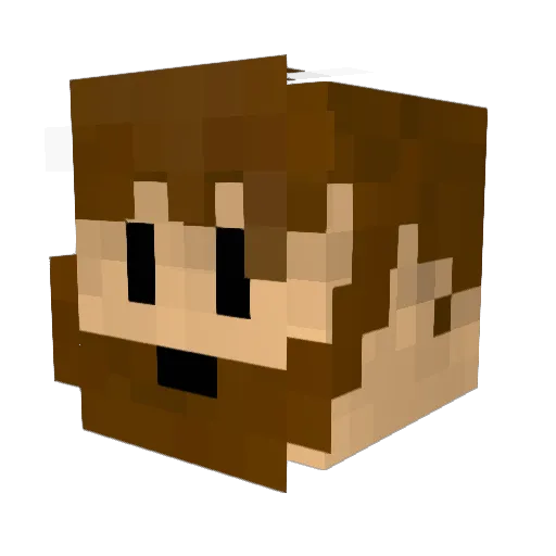 N0llk0ll Minecraft avatar head, 3D render