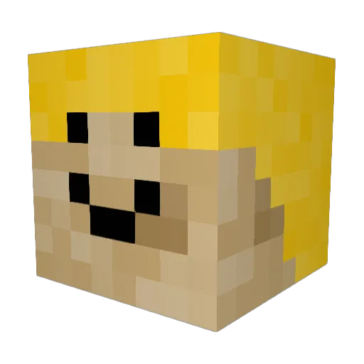 N0n0r_ Minecraft avatar head, 3D render