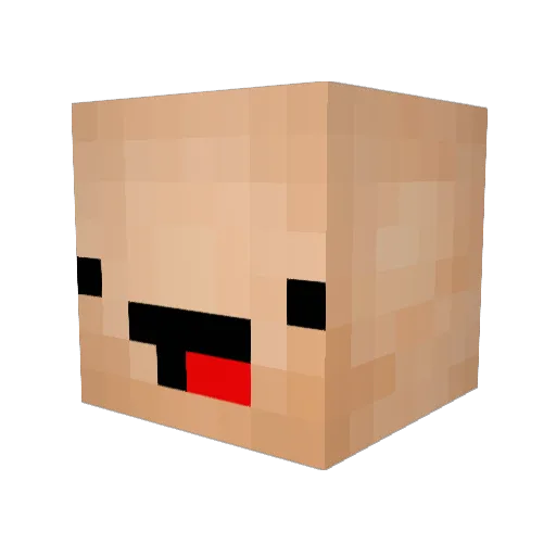 N0name_ Minecraft avatar head, 3D render