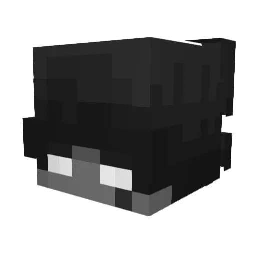 N0o1e Minecraft avatar head, 3D render