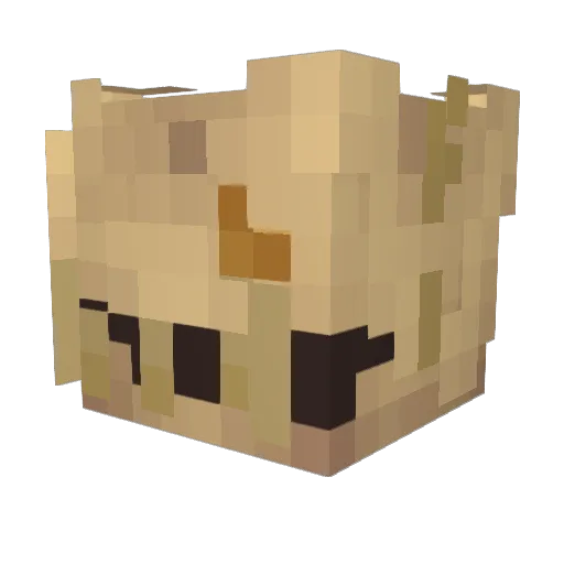 N0ol Minecraft avatar head, 3D render
